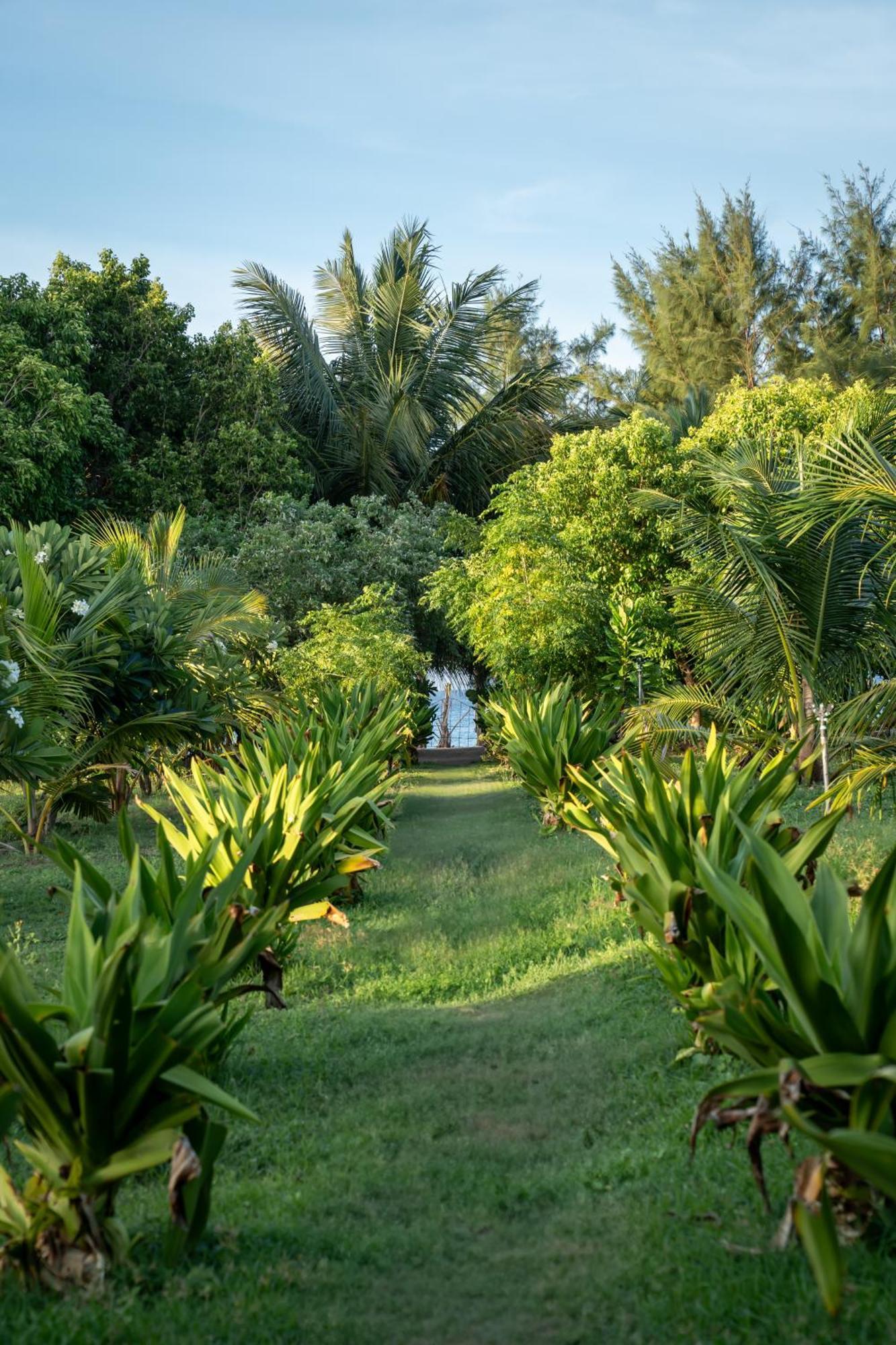 Amanta Beach Nilaveli Ngoại thất bức ảnh